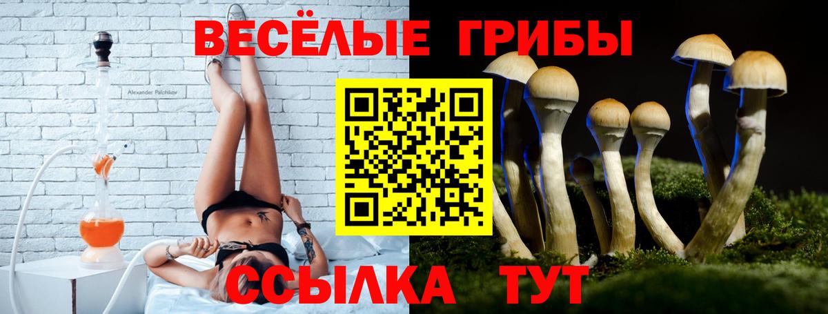 Галлюциногенные грибы MAGIC MUSHROOMS  Вход с VPN  даркнет сайт  Уварово 